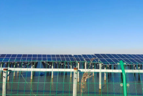 魚蝦養殖也可以在光伏板下方的水域進行了